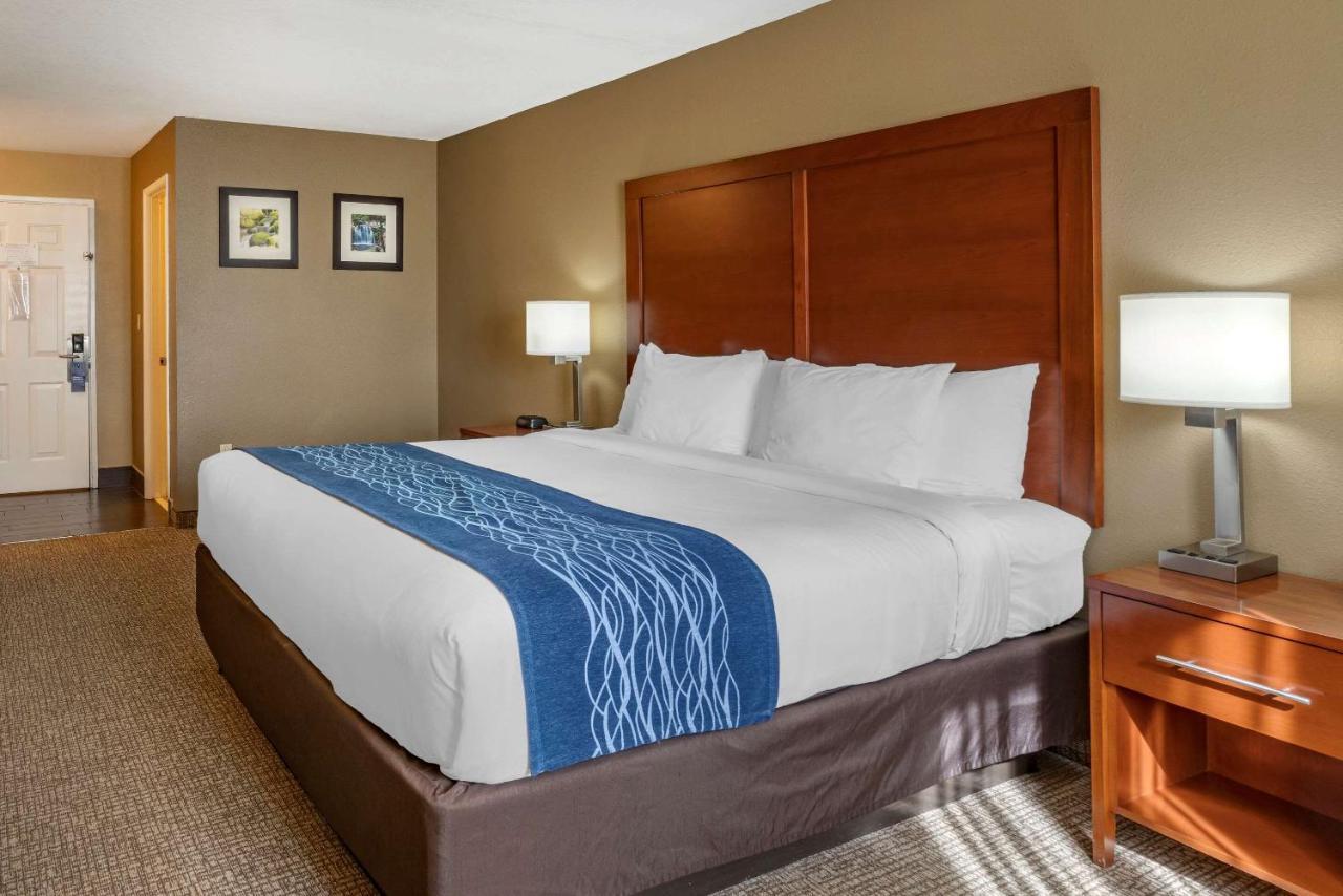 Comfort Roseburg